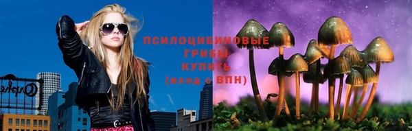 герыч Бронницы