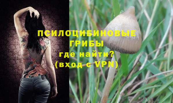 мяу мяу мука Бугульма