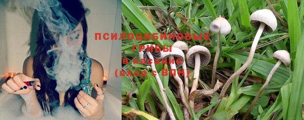 эйфоретик Богородицк